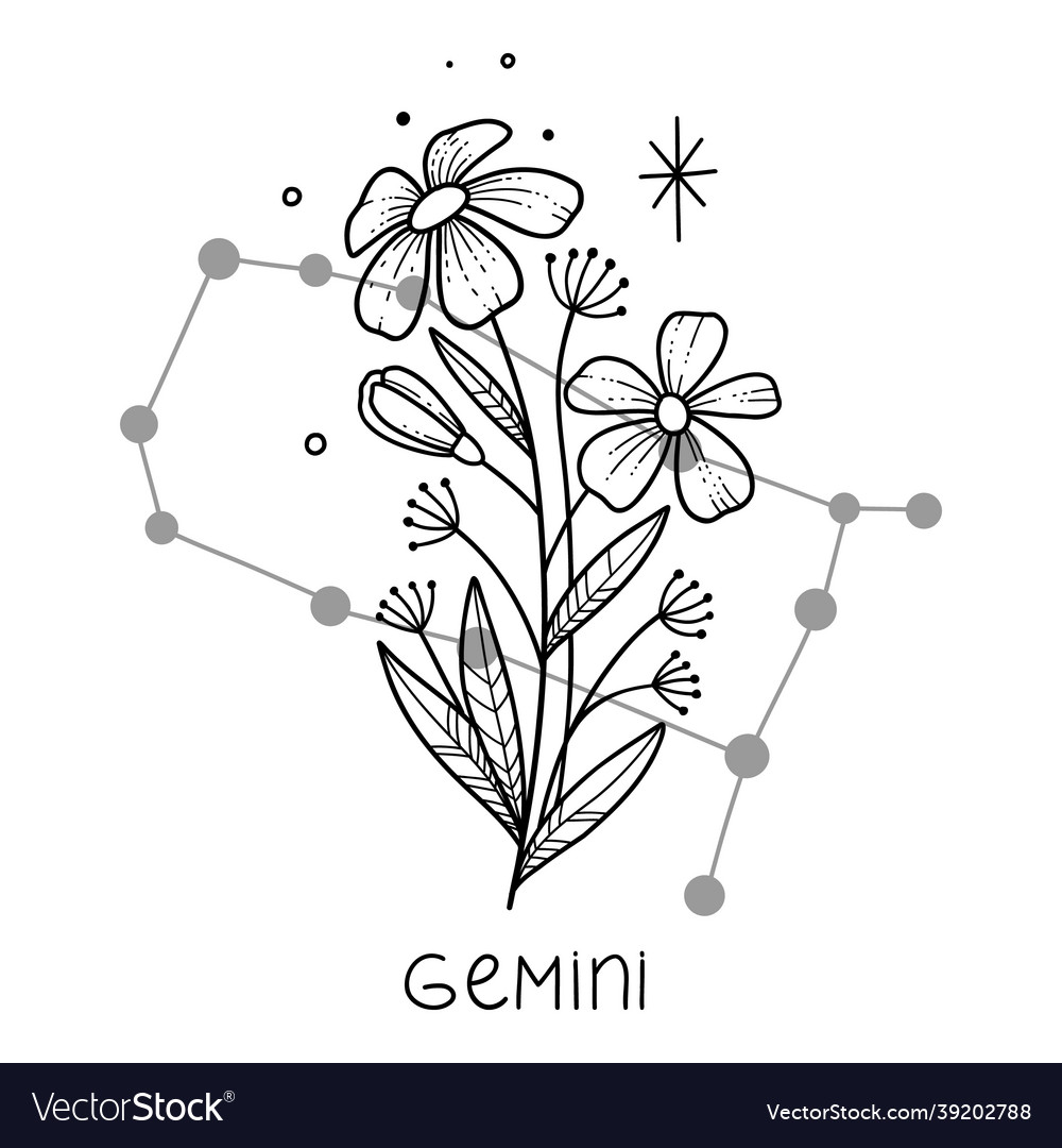 Gemini horoscope flower icon outline Royalty Free Vector