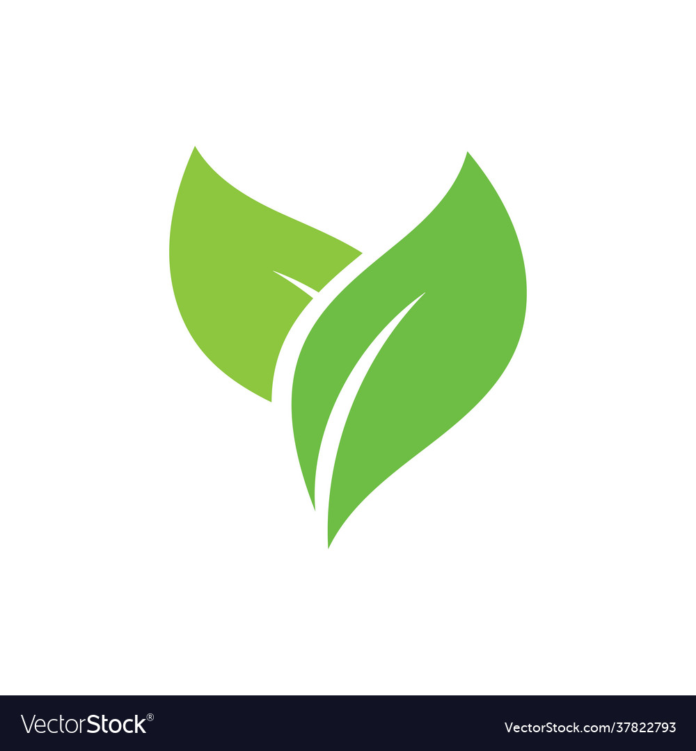 Leaf logo green ecology nature element image Vector Image