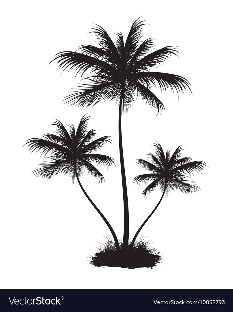 Summer Royalty Free Vector Image - VectorStock