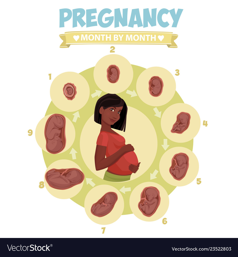 Dark-skinned pregnant beautiful woman infographics