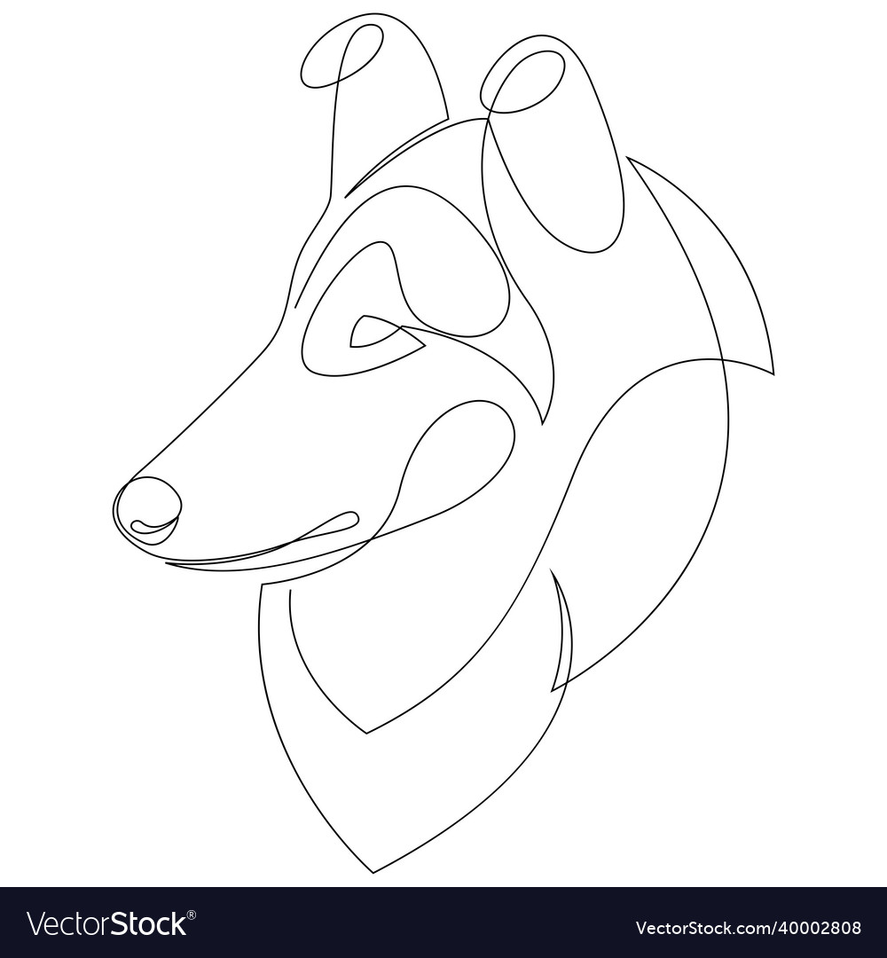 Line drawing rough collie dog tattoo Royalty Free Vector