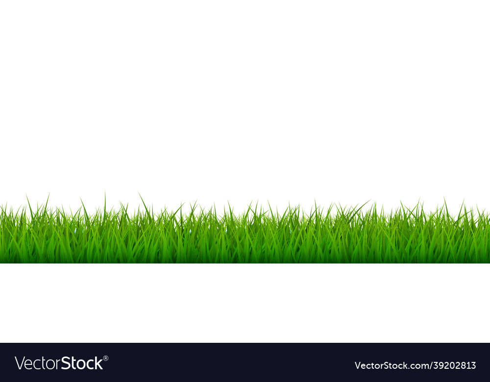 Bright green realistic seamless grass border Vector Image