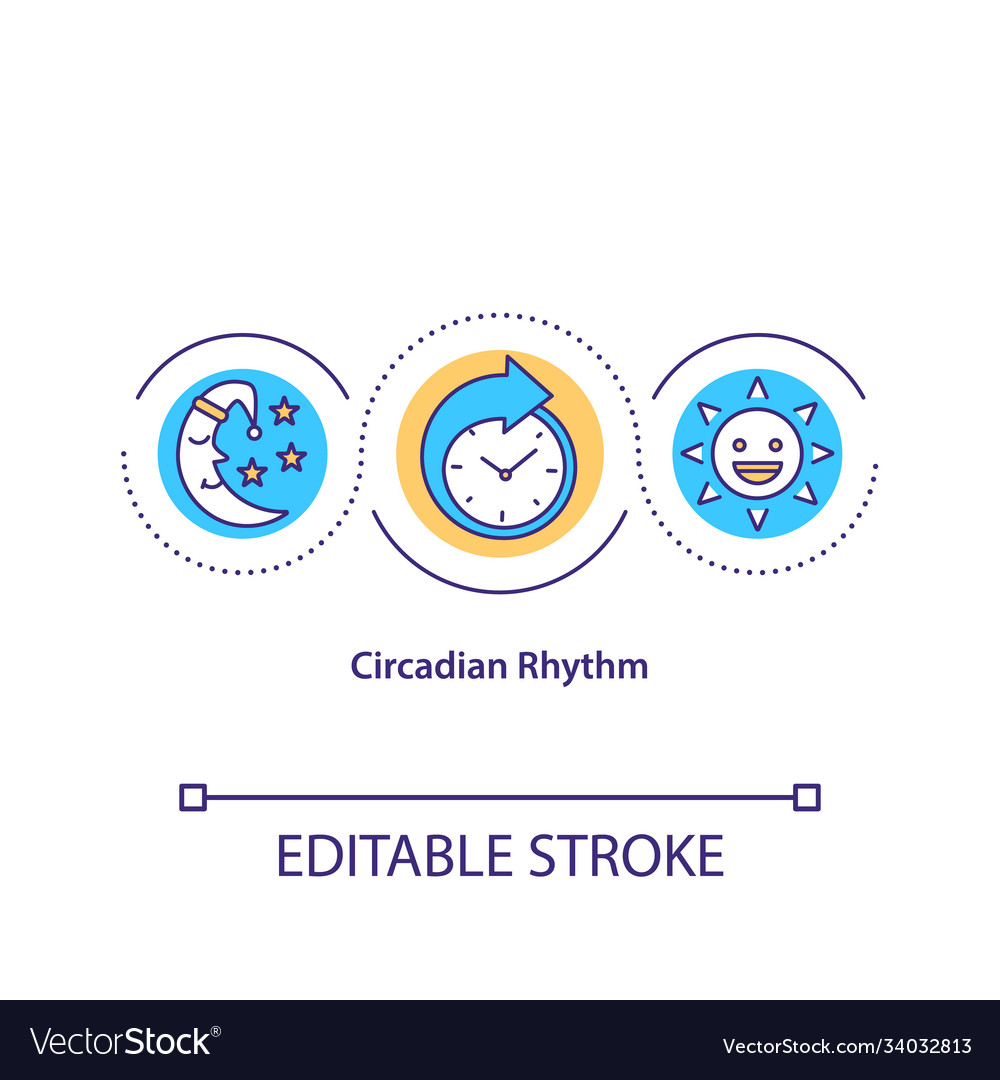 Circadian rhythm concept icon Royalty Free Vector Image