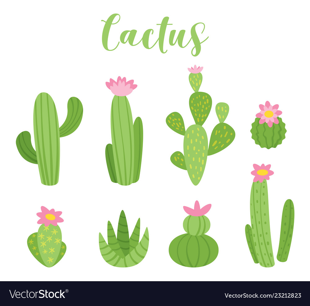 Premium Vector, Cactus kawaii