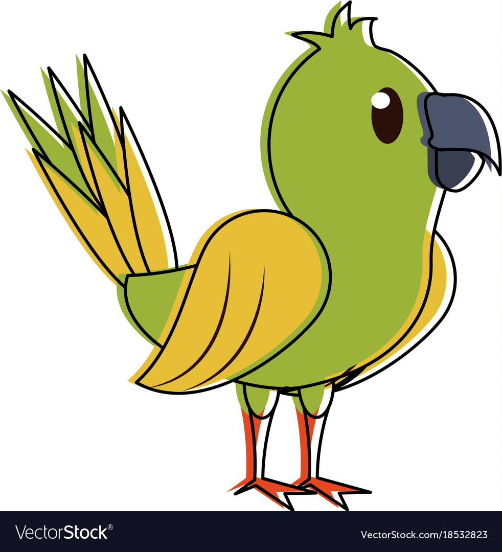 Cute parrot bird cartoon Royalty Free Vector Image