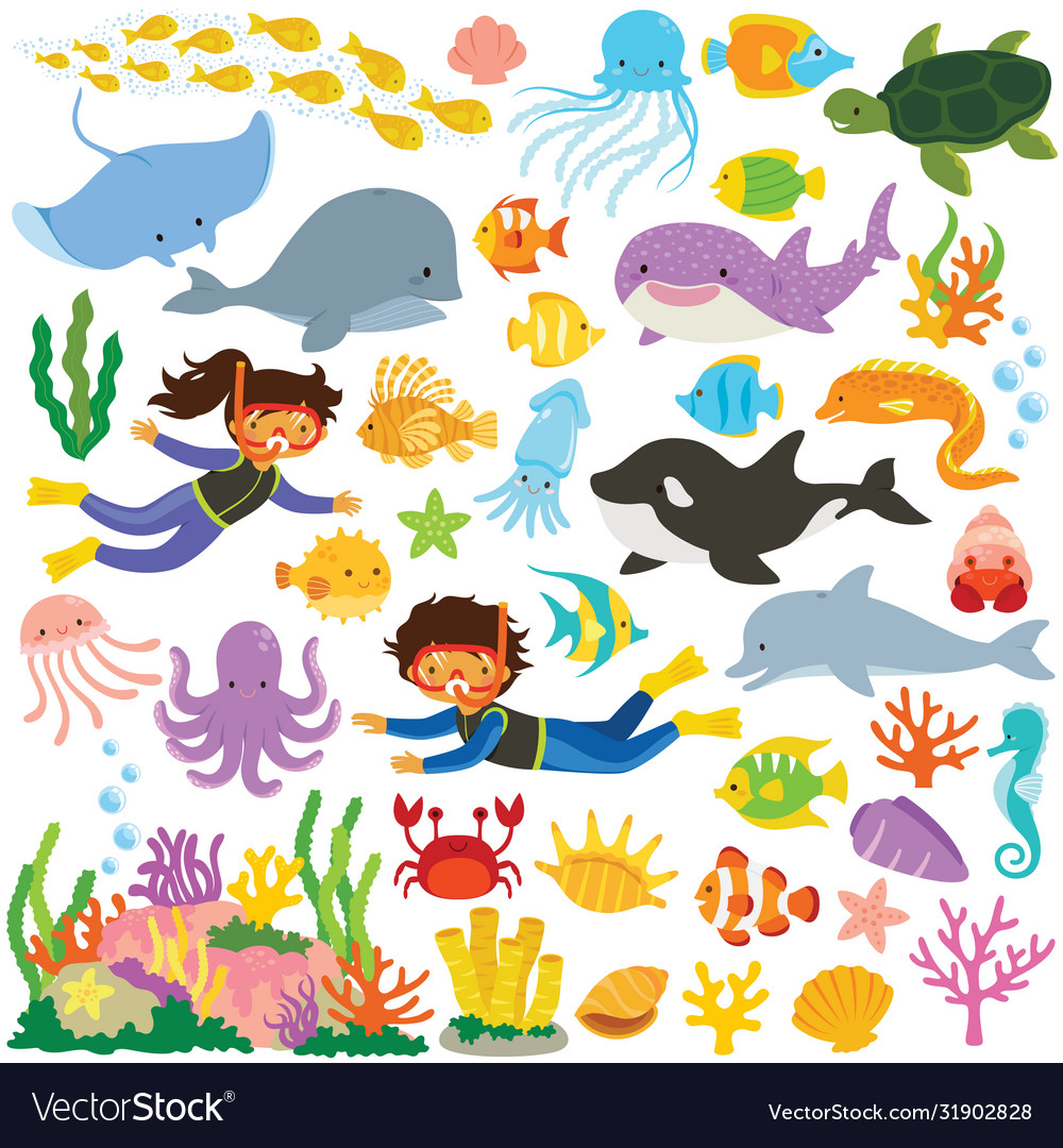 Sea animals collection vector image Sea animals collection