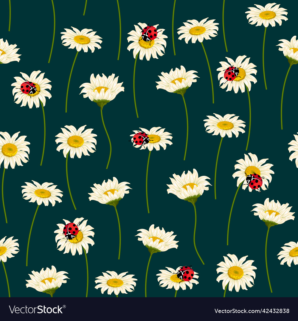 Pattern with ladybugs on daisies Royalty Free Vector Image