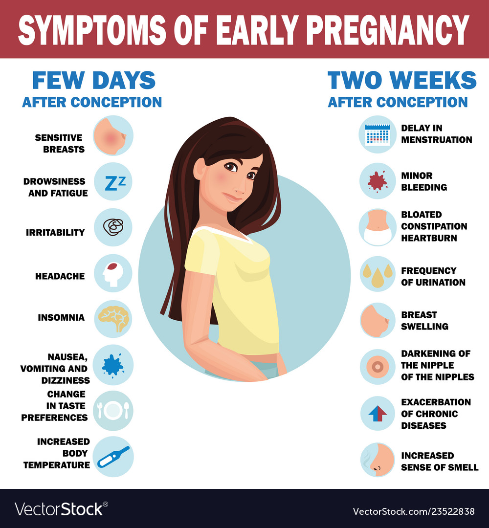 Symptoms Early Pregnancy Detailed Infographic Vector Image 