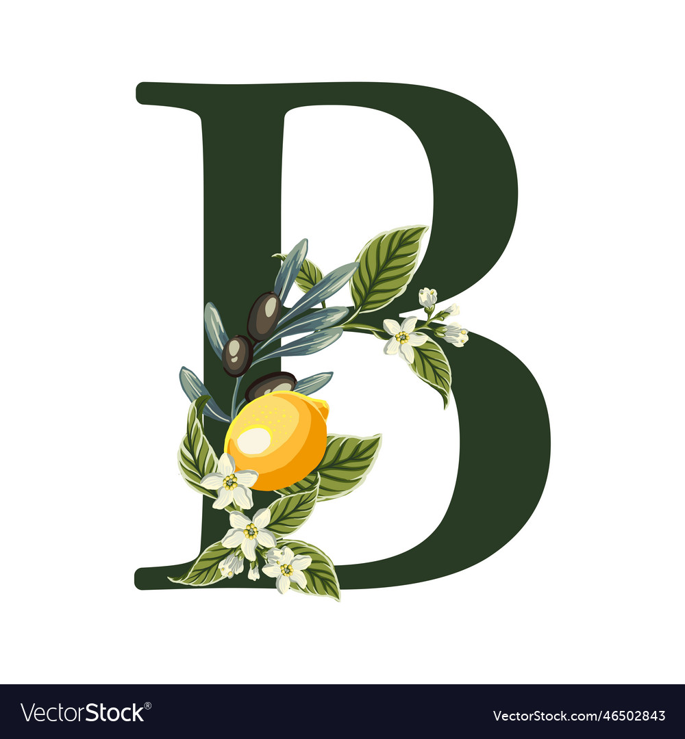 Letter b from alphabet with lemons and olive Vector Image