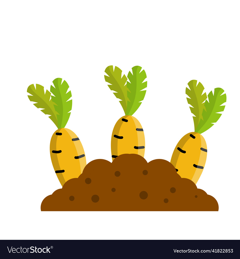 Bed with the carrot cartoon flat Royalty Free Vector Image Bed with the carrot cartoon flat Royalty Free Vector Image