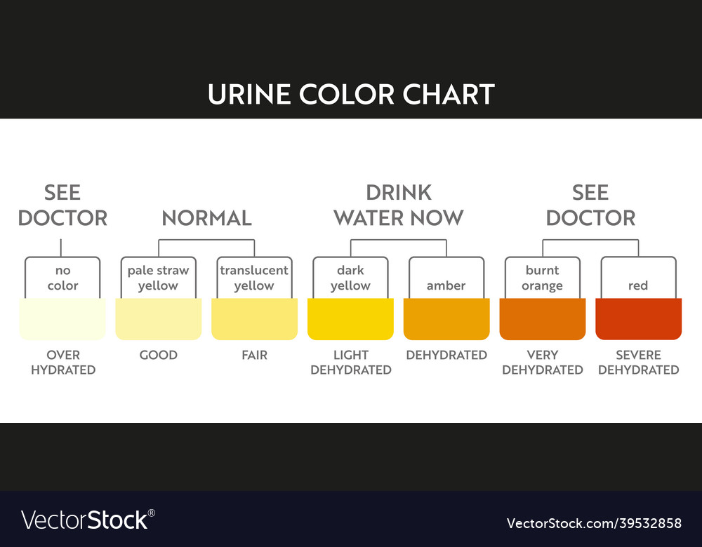 Urine color chart Royalty Free Vector Image - VectorStock