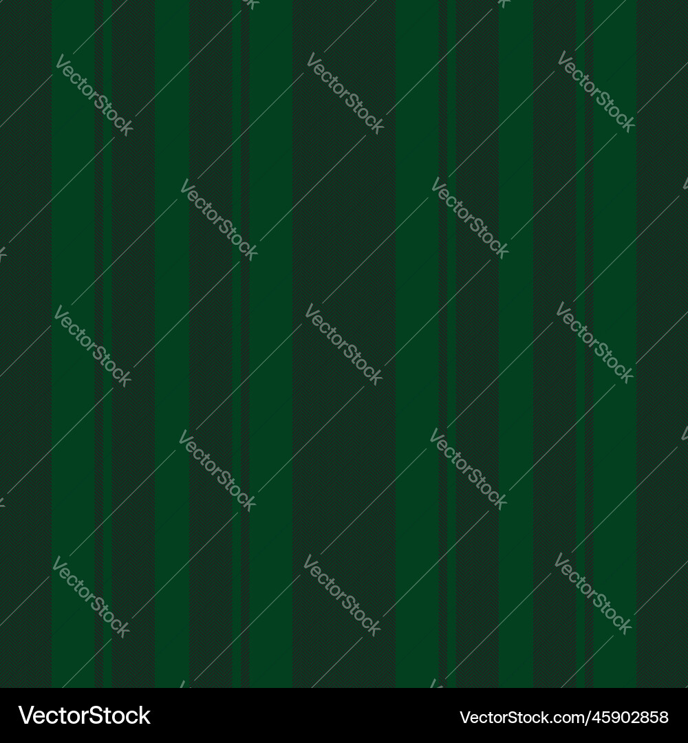 Vertical lines stripe pattern stripes background Vector Image