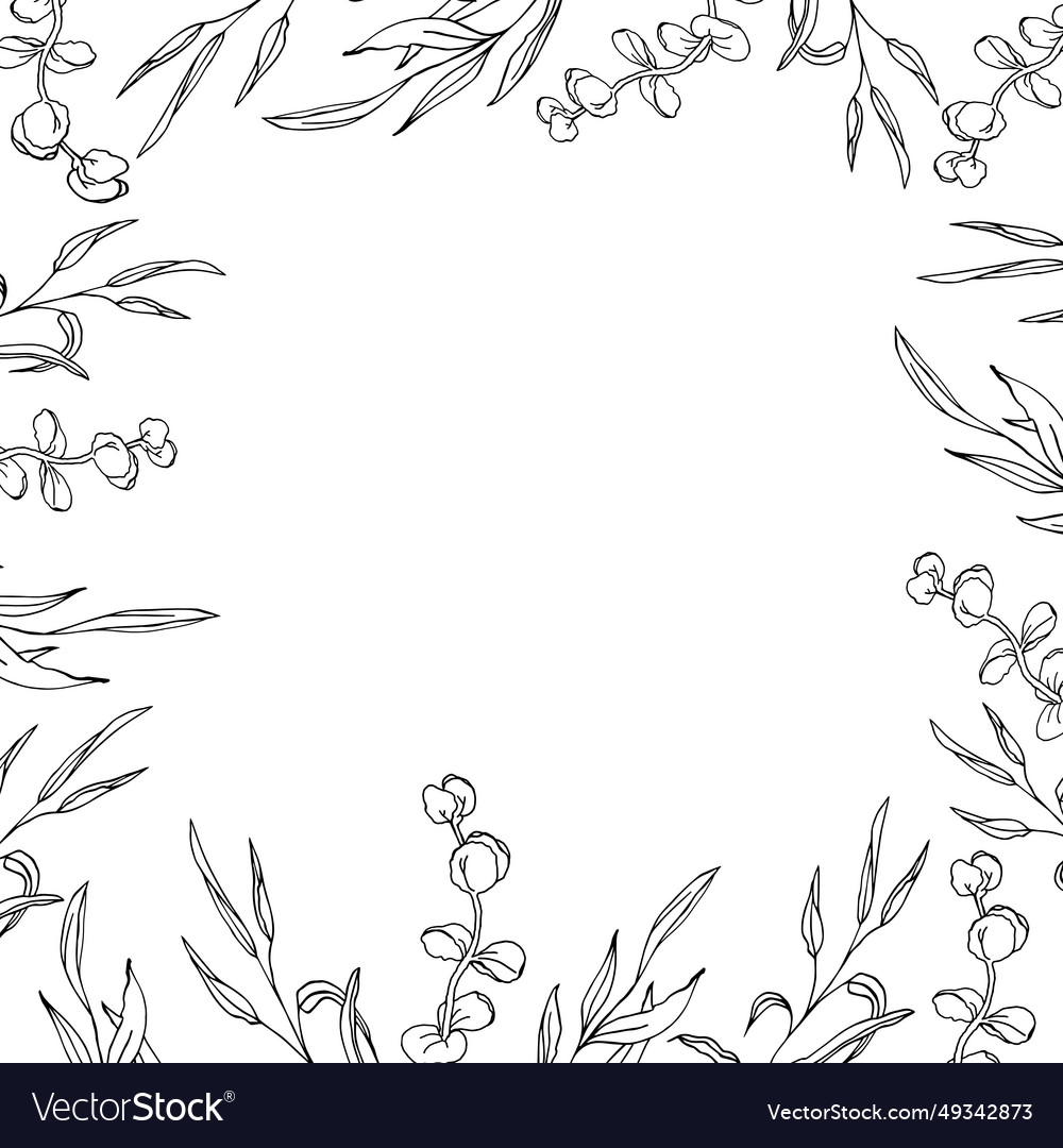 Floral eucalyptus square banner frame line art