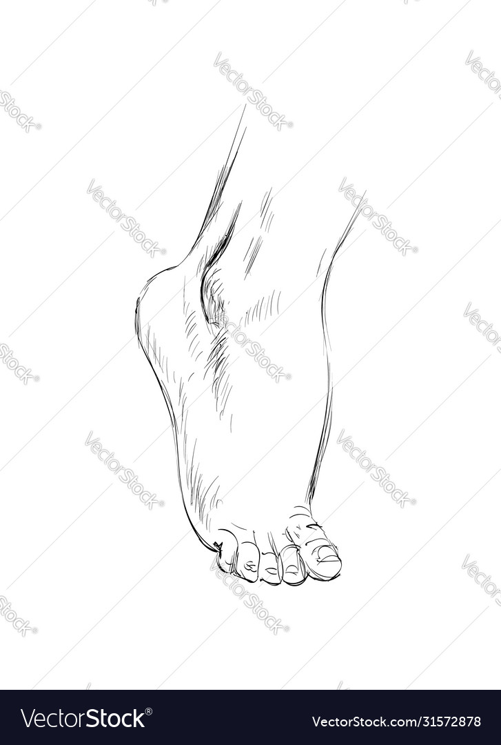 Hand drawn sketch feet Royalty Free Vector Image