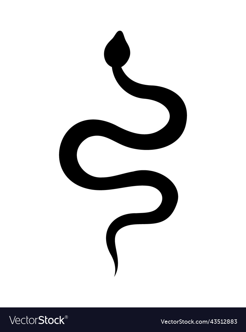 Black snake silhouette tropical toxic reptiles vector image Black snake silhouette tropical toxic reptiles