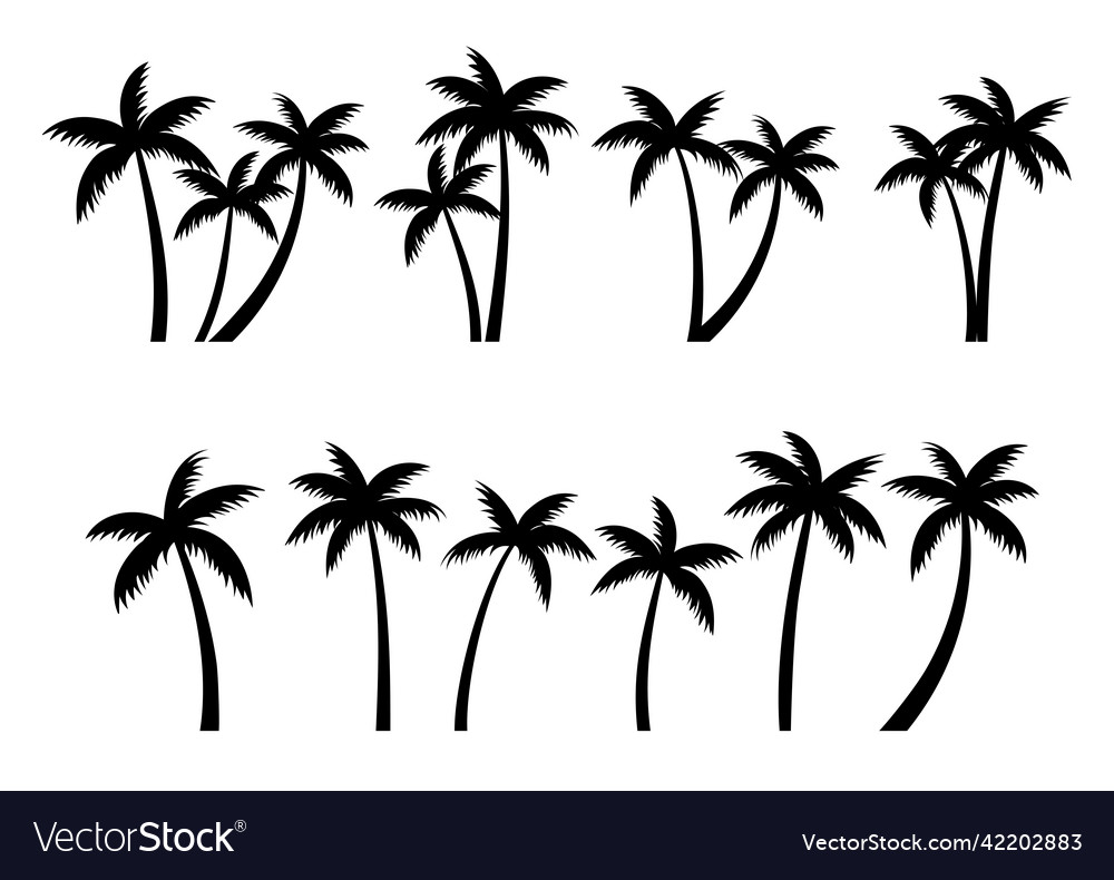 Palm trees silhouettes set trees isolated vector image Palm trees silhouettes set trees isolated