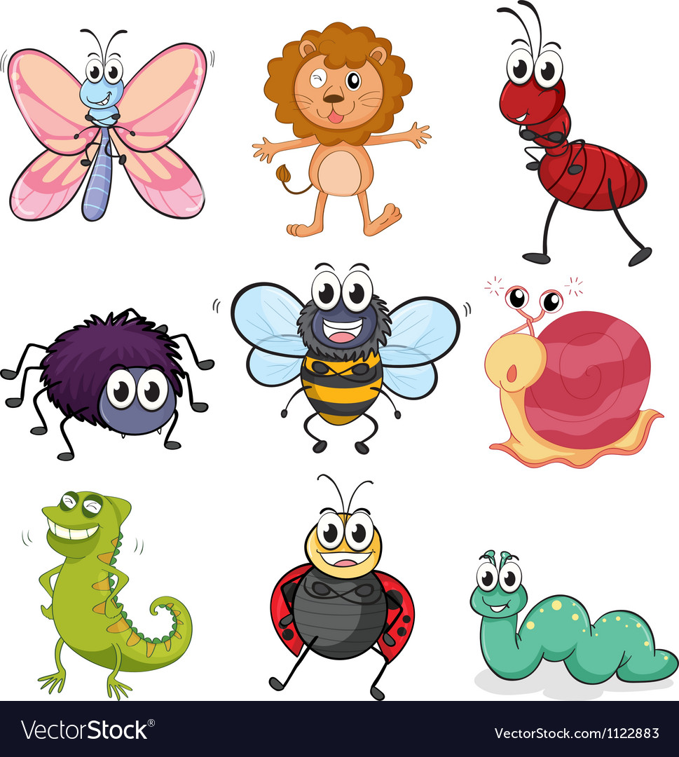 Various insects and animals Royalty Free Vector Image