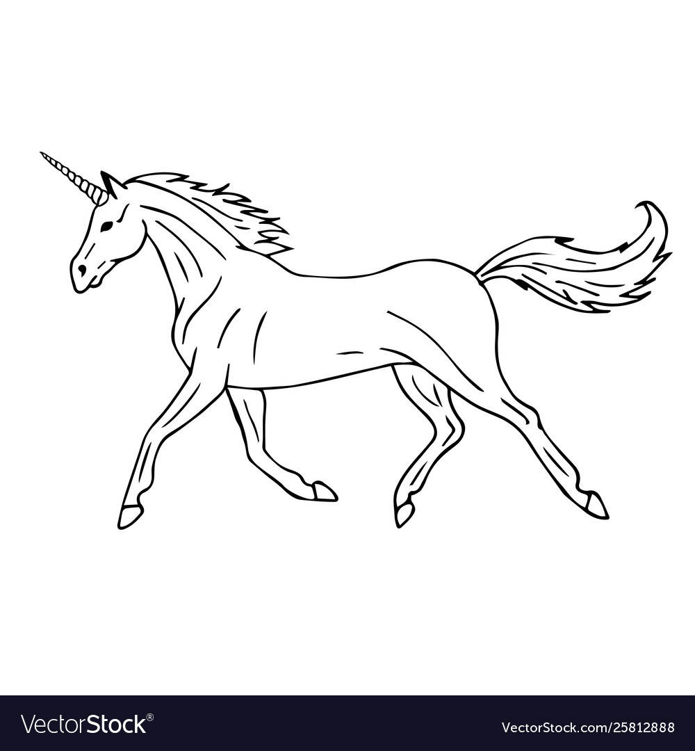 Hand drawn doodle sketch unicorn Royalty Free Vector Image