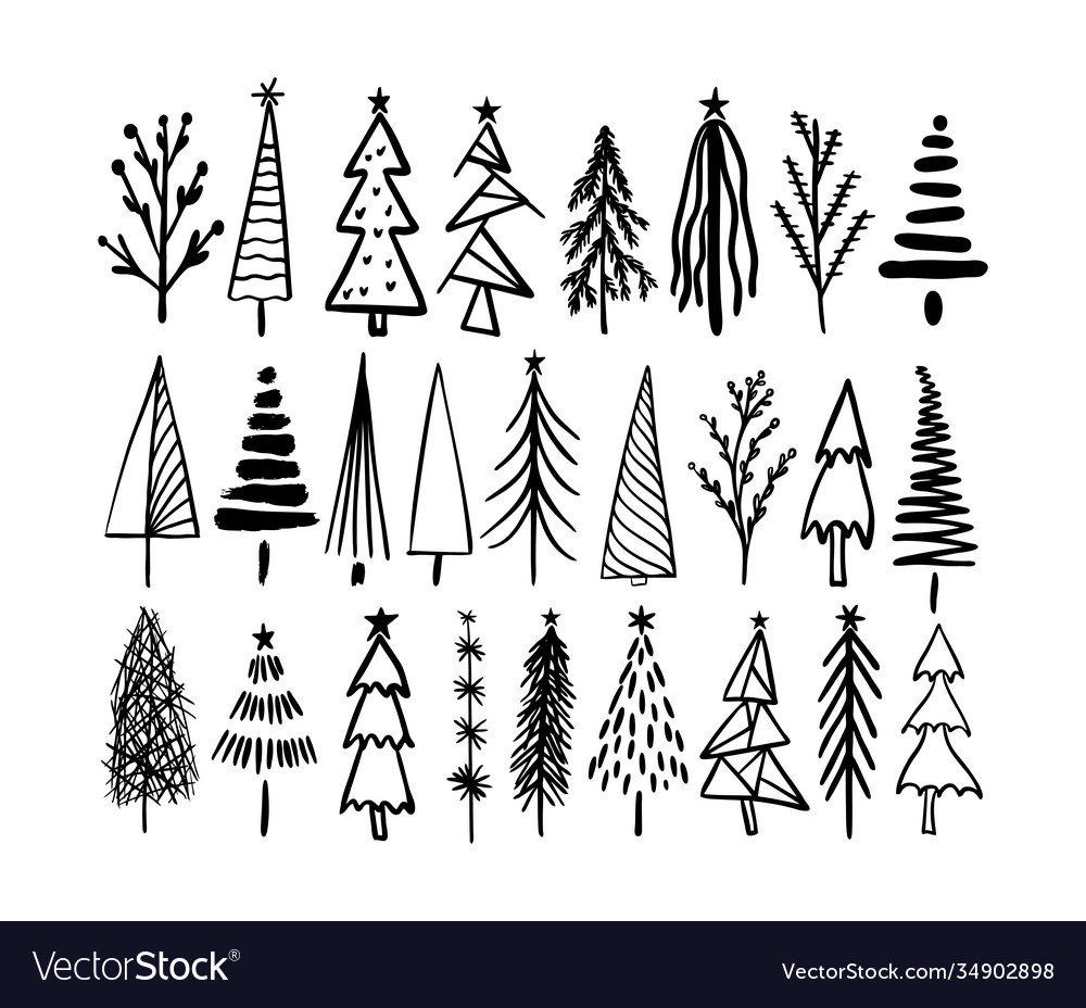 Rustic christmas tree winter forest card hand Vector Image