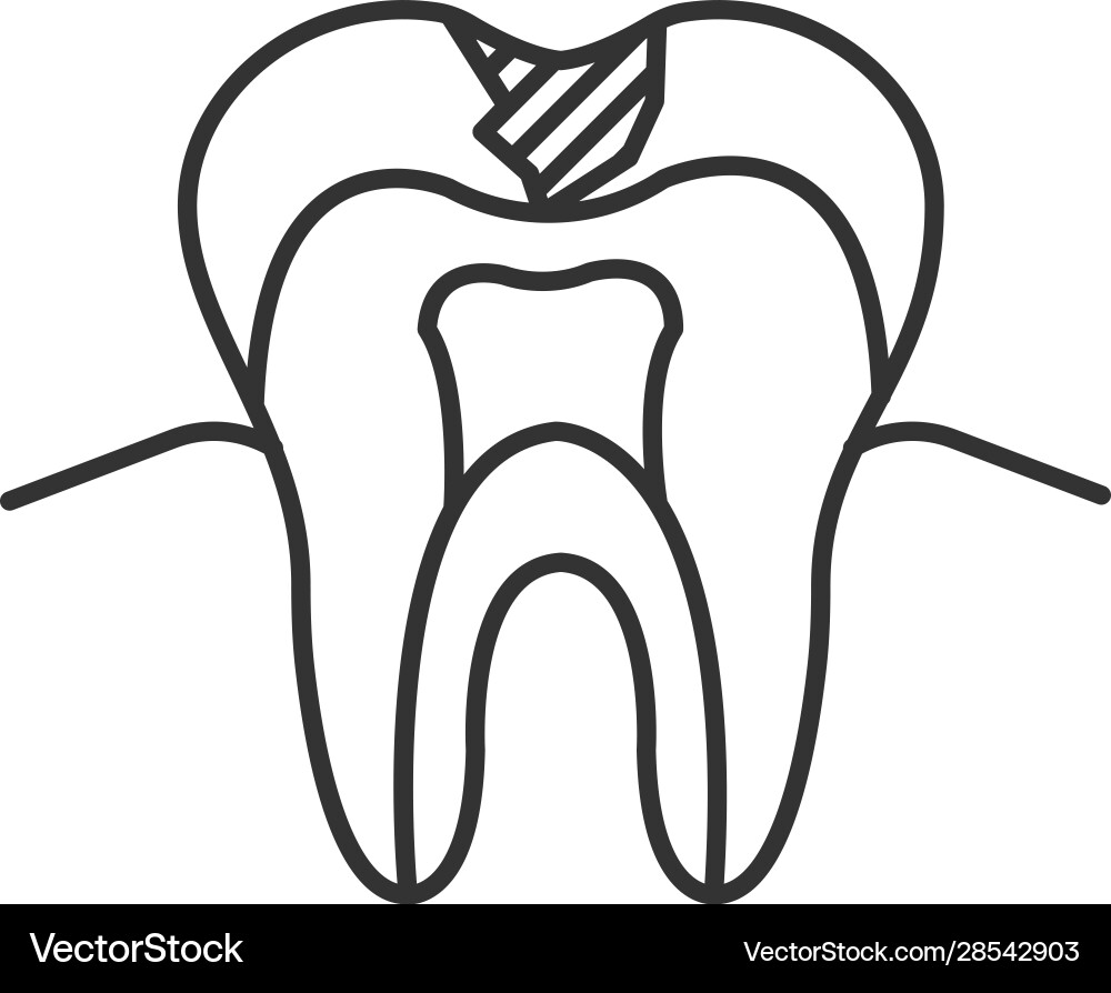 Caries linear icon Royalty Free Vector Image - VectorStock