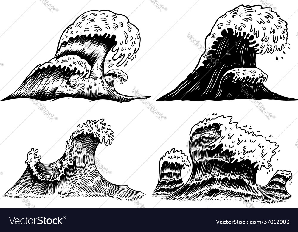 Set sea waves in engraving style design vector image Set sea waves in engraving style design