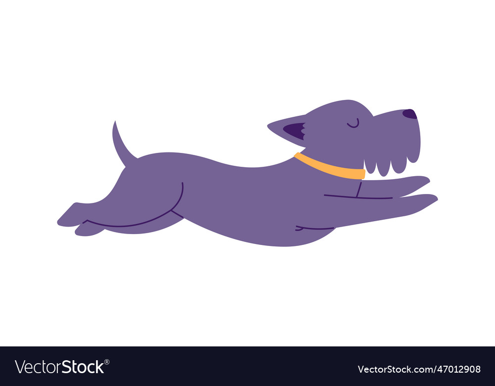 Lying dog doing yoga Royalty Free Vector Image