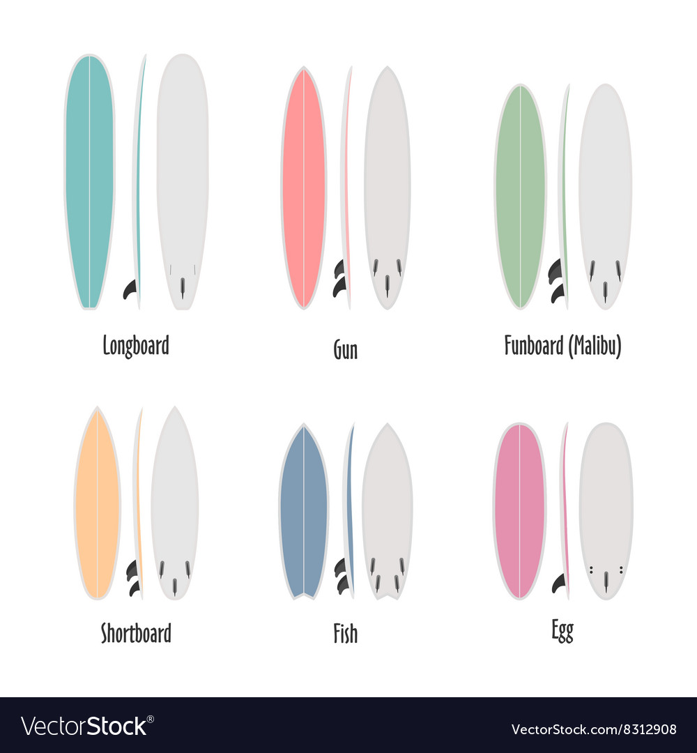 Set of surfboard types colorful shapes in scale Vector Image