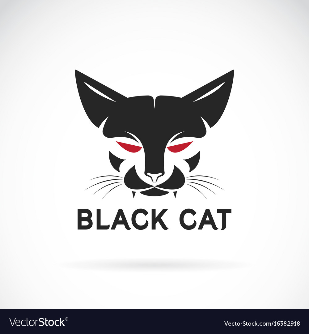 Angry cat face Royalty Free Vector Image - VectorStock