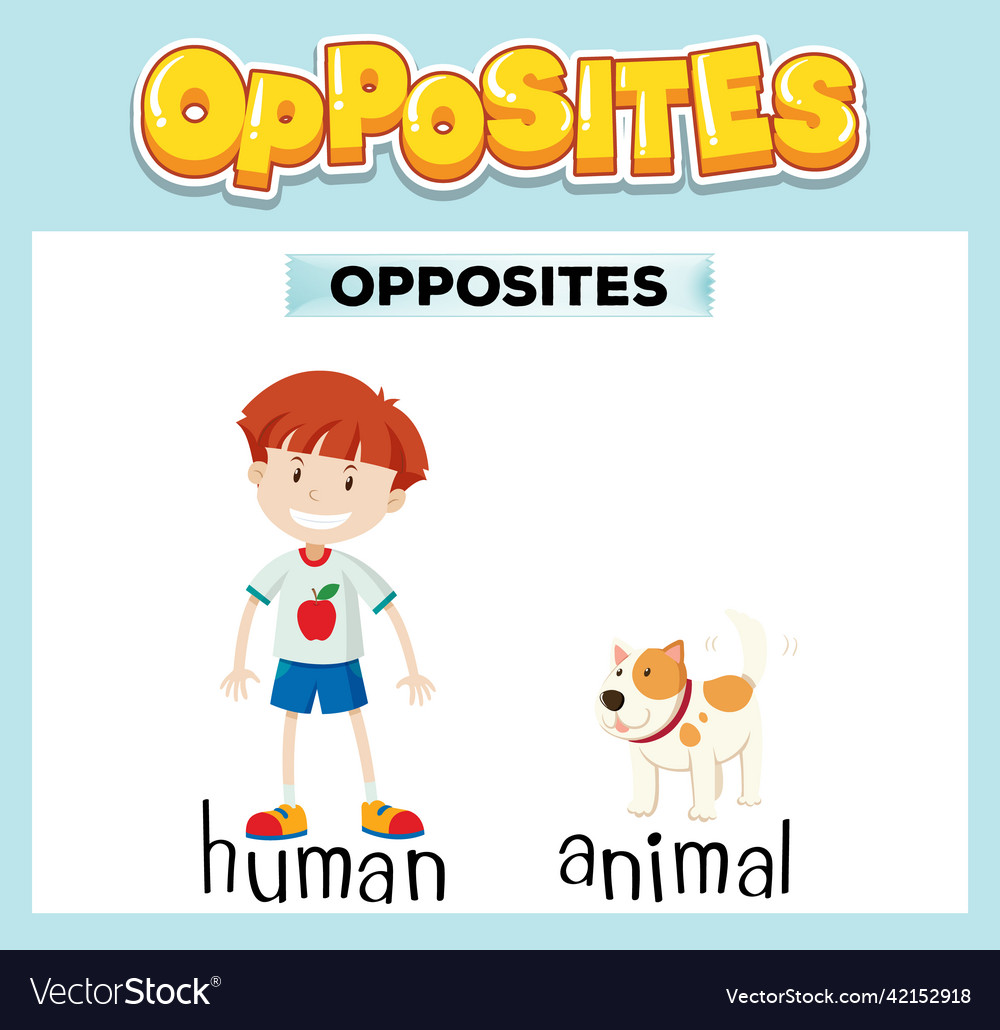 Opposite english words for kids Royalty Free Vector Image