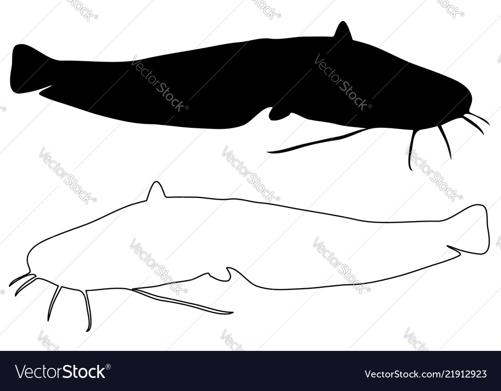 Catfish silhouette