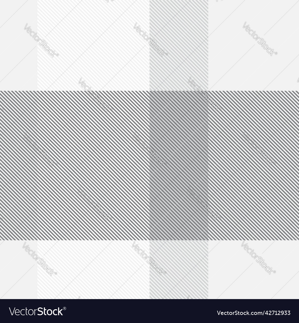 Black and white asymmetric plaid textured Vector Image