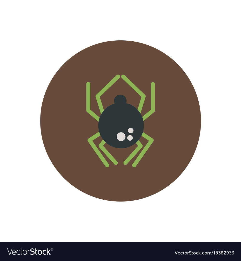 Stylish icon in color circle spider insect