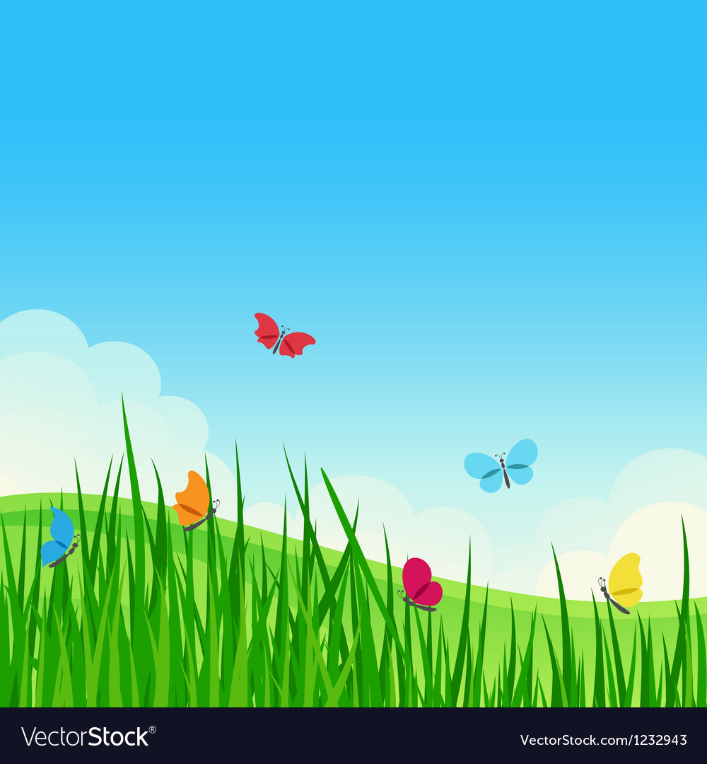 Beautiful summer meadow Royalty Free Vector Image