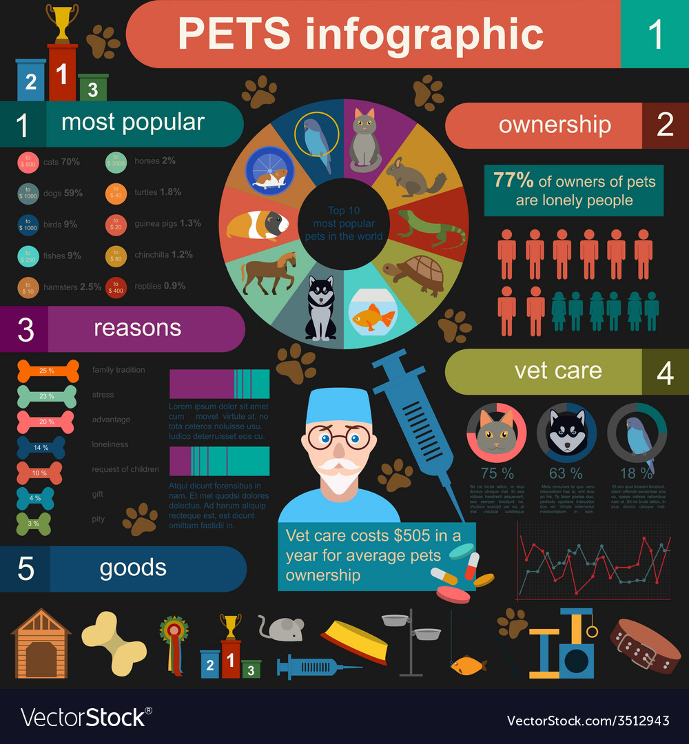 Domestic pets infographic elements helthcare vet