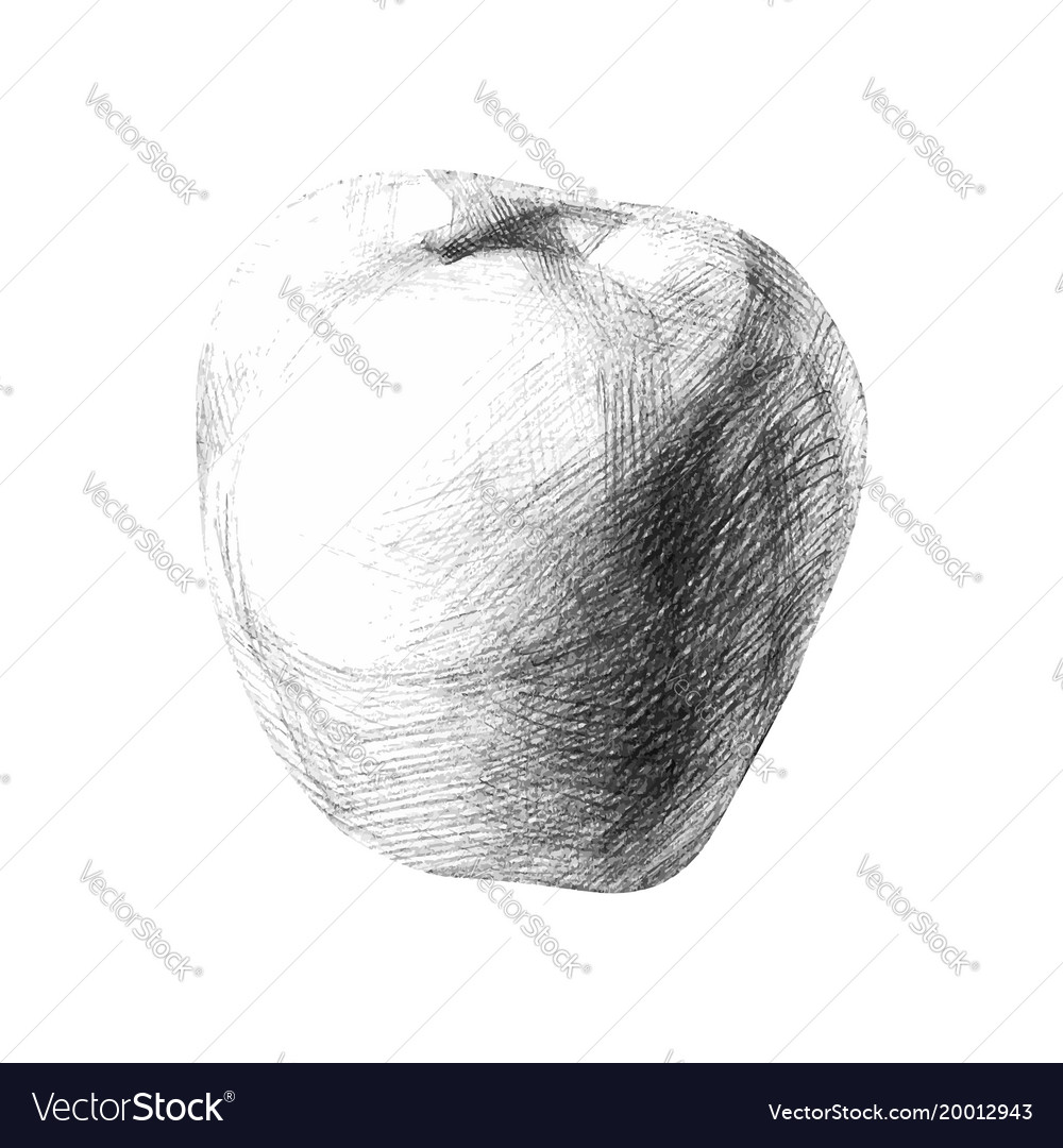 With a pencil sketch apple for your creativity Vector Image