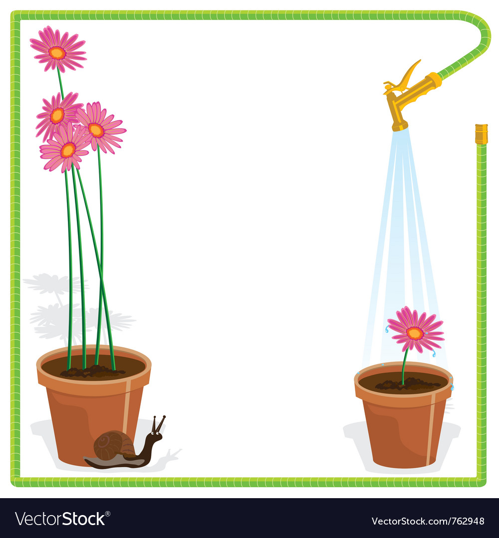 garden party invitation royalty free vector image