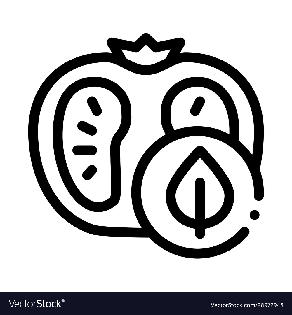 Tomato leaf icon outline Royalty Free Vector Image