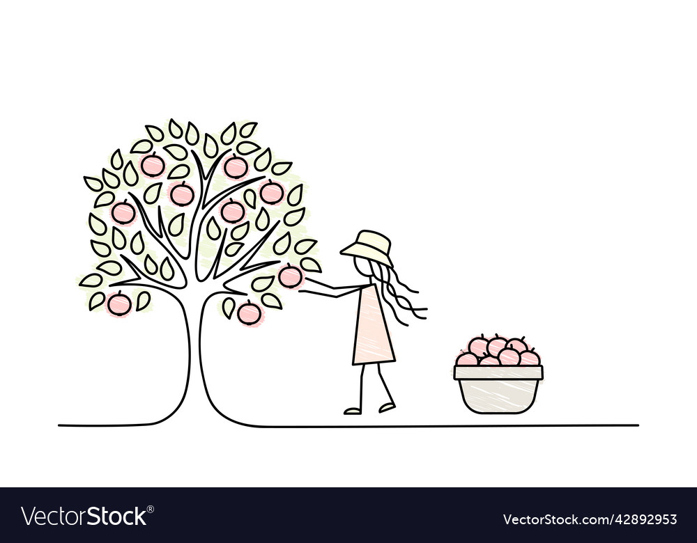 Girl farmer gathering apples in basket growing