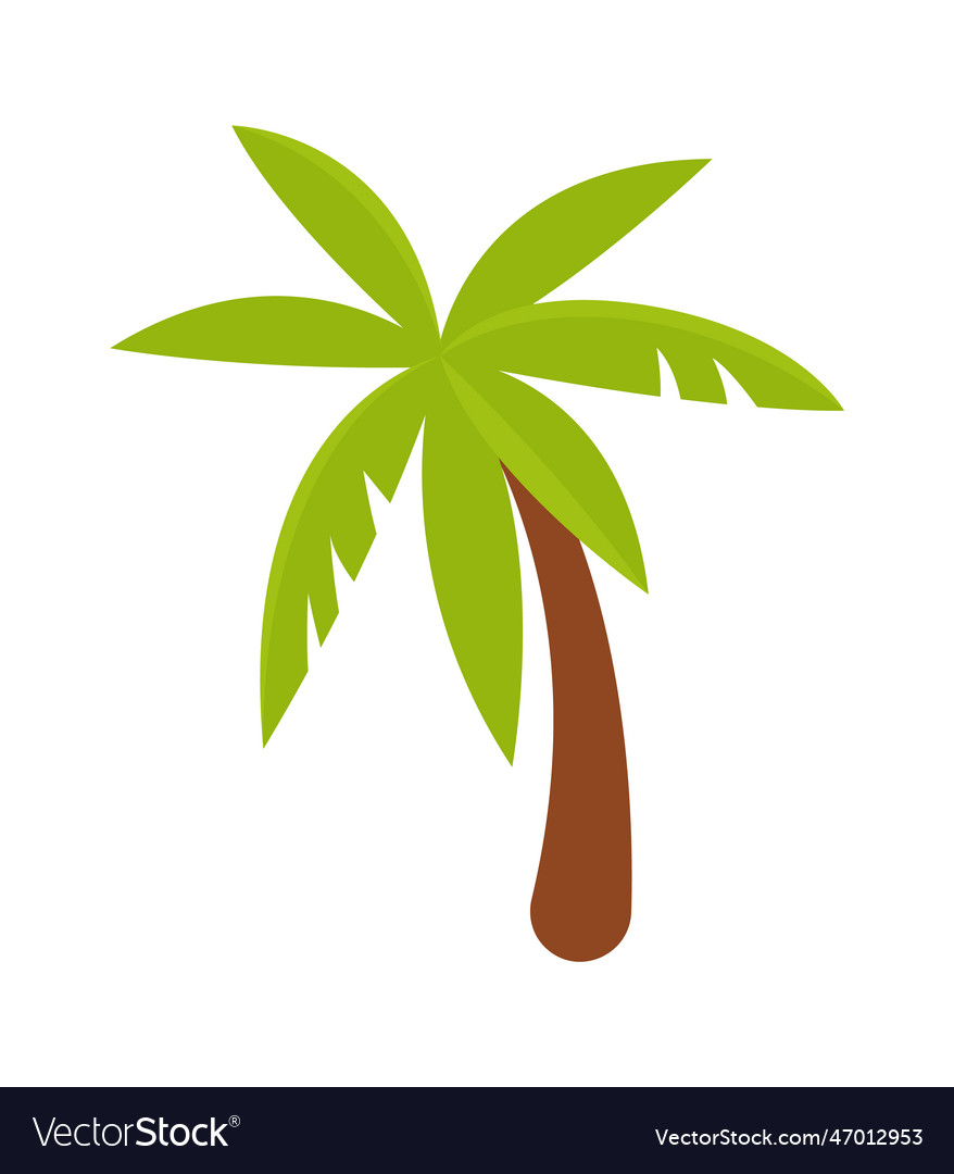 Palm tropical tree Royalty Free Vector Image - VectorStock