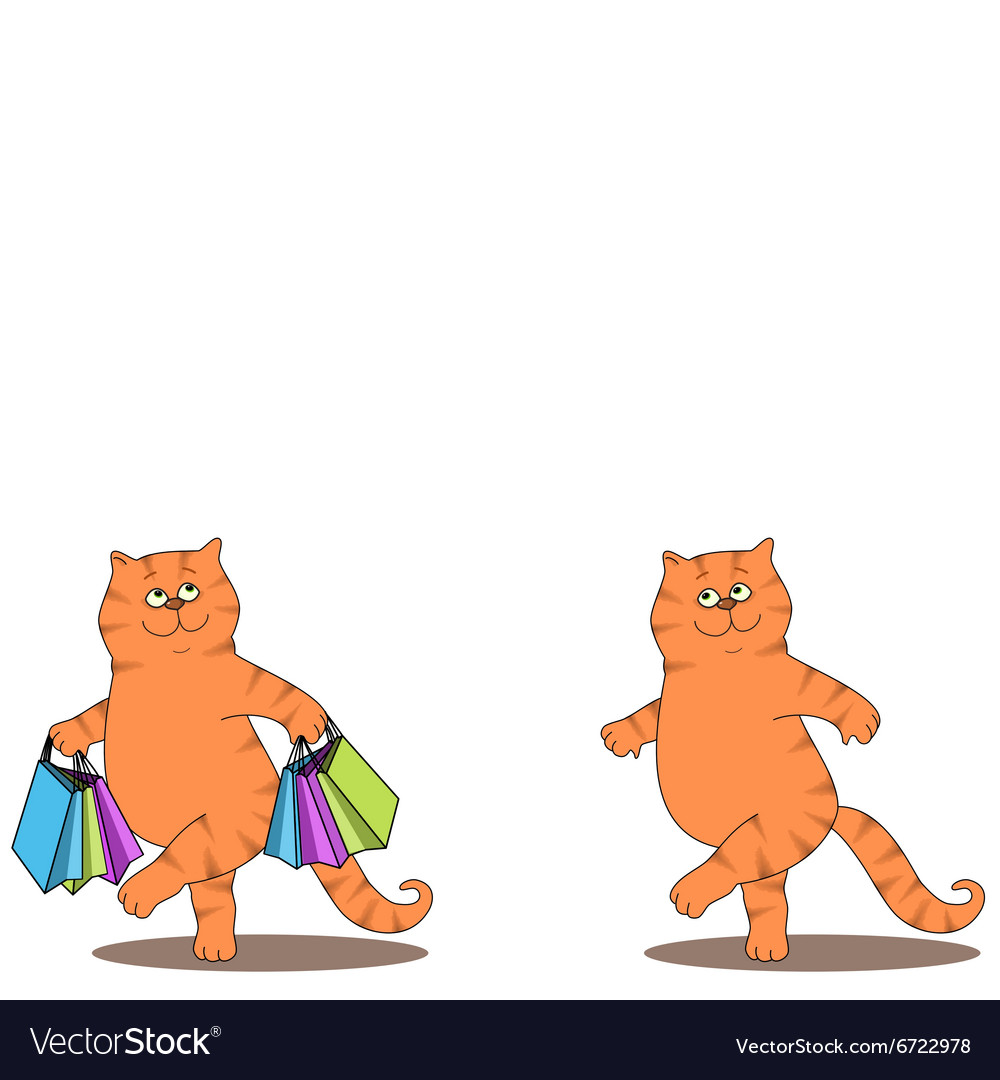 Cats and bags