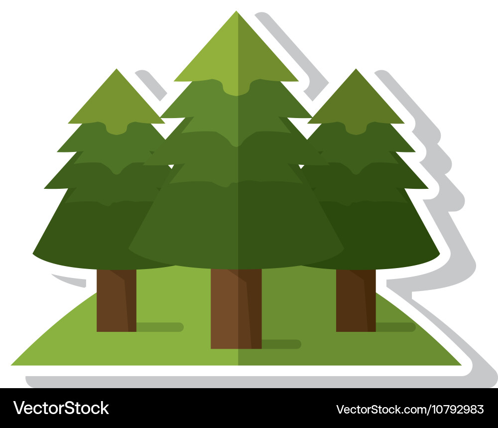 Isolated pine trees design Royalty Free Vector Image