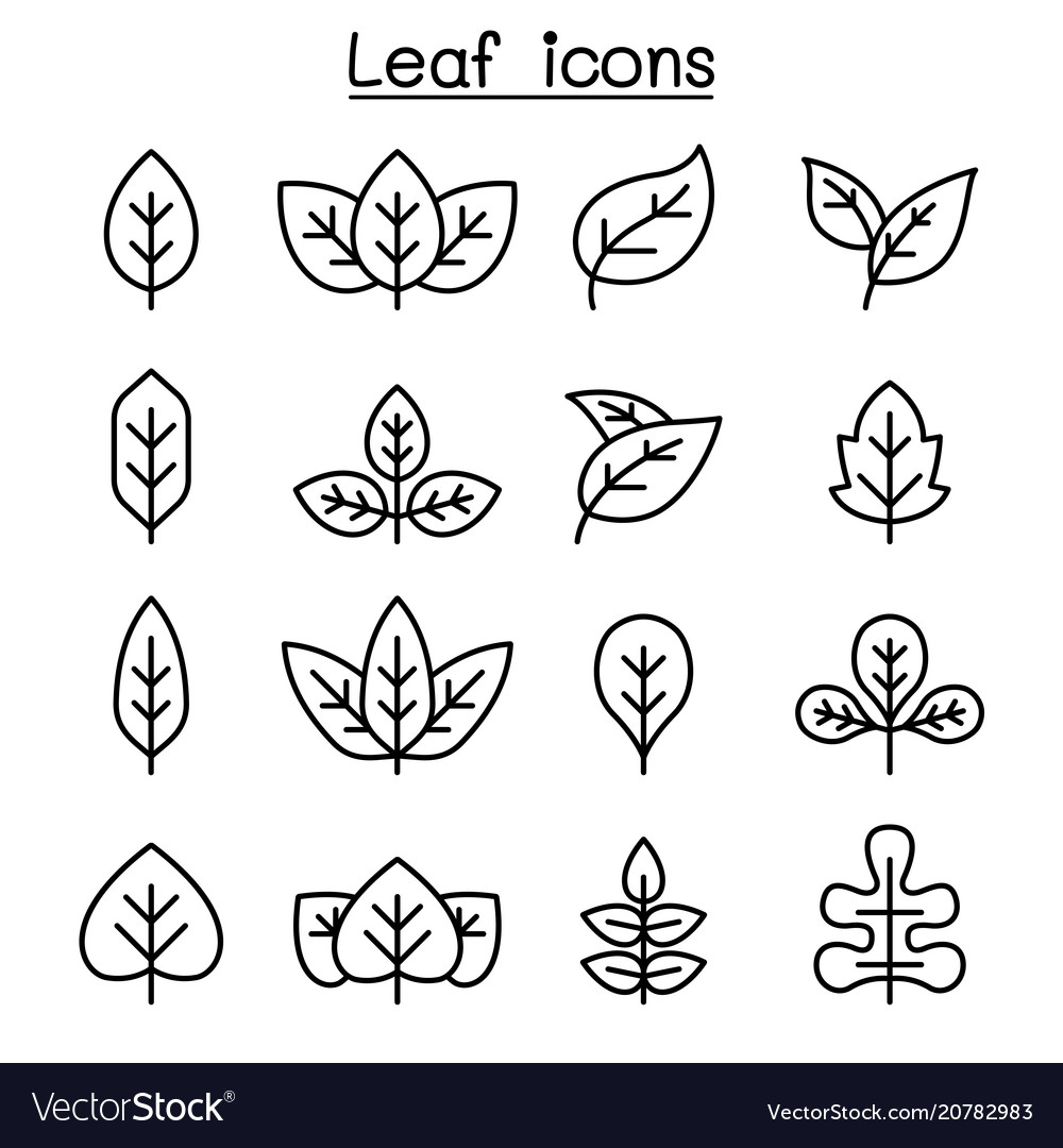 Leaf icon set in thin line style vector image Leaf icon set in thin line style