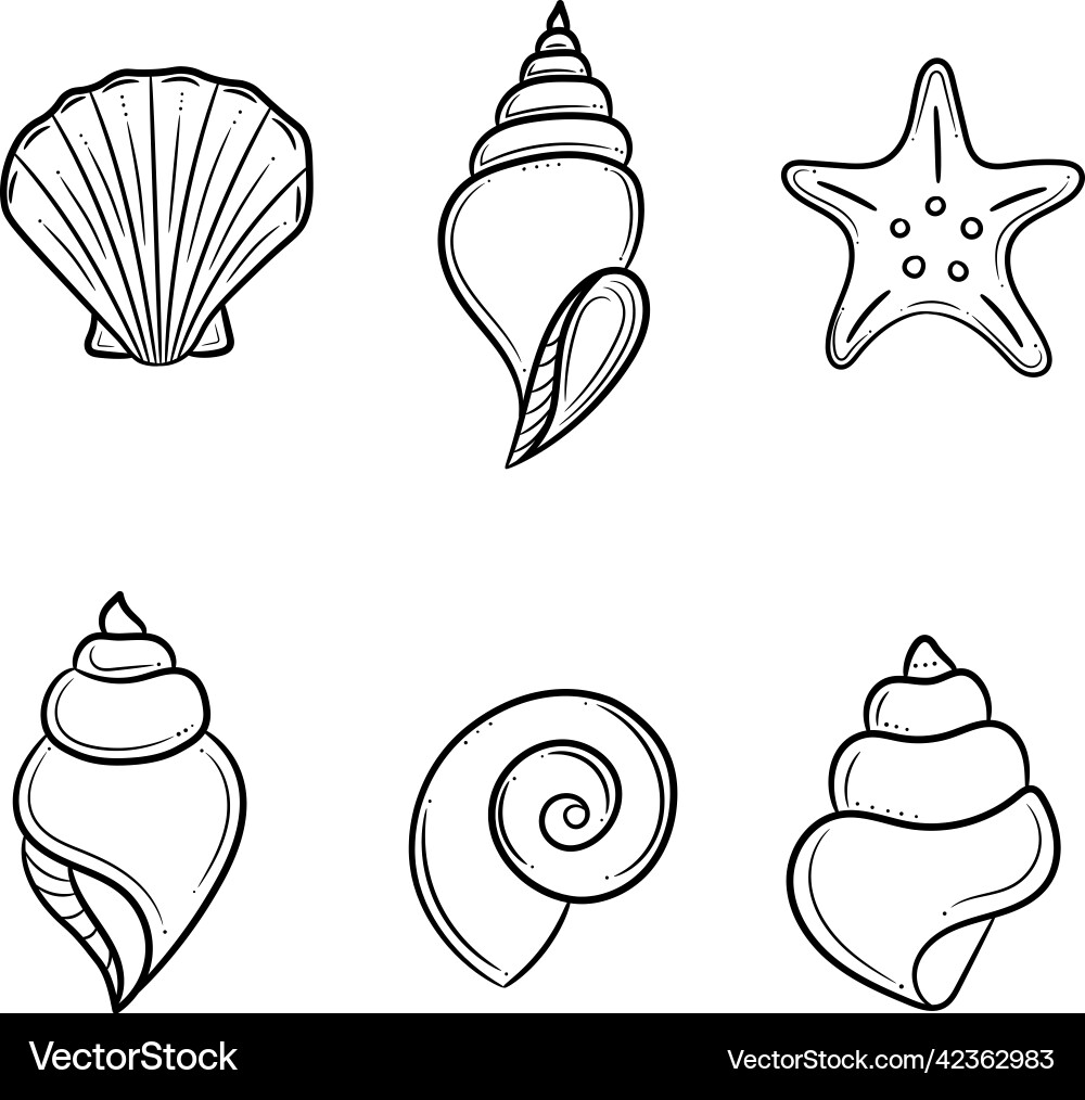 Seashell hand drawn elements isolated Royalty Free Vector