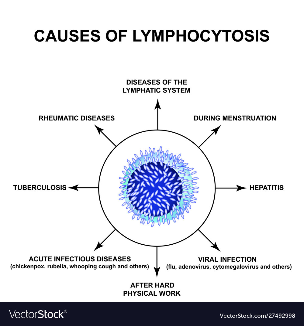 BIOMSTEC been non simply an program since rearing local working the