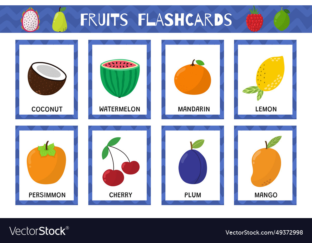 Fruits flashcards set flash cards collection Vector Image