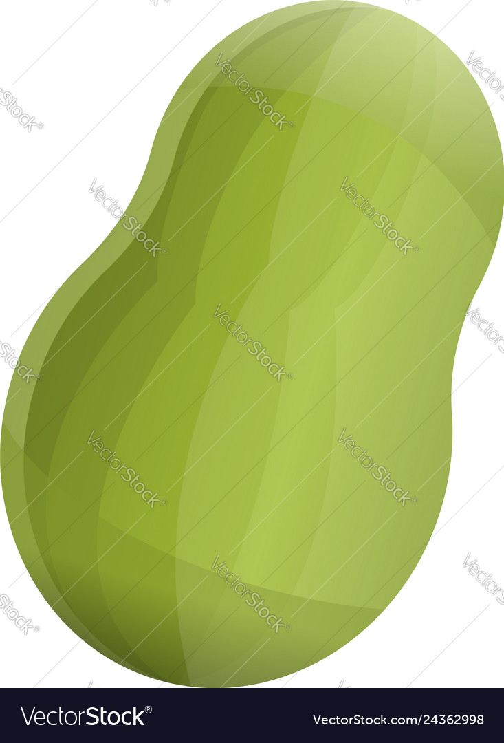 Green papaya icon cartoon style Royalty Free Vector Image