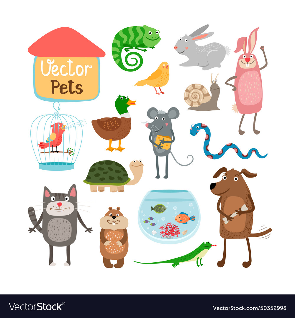 Pets Royalty Free Vector Image - VectorStock