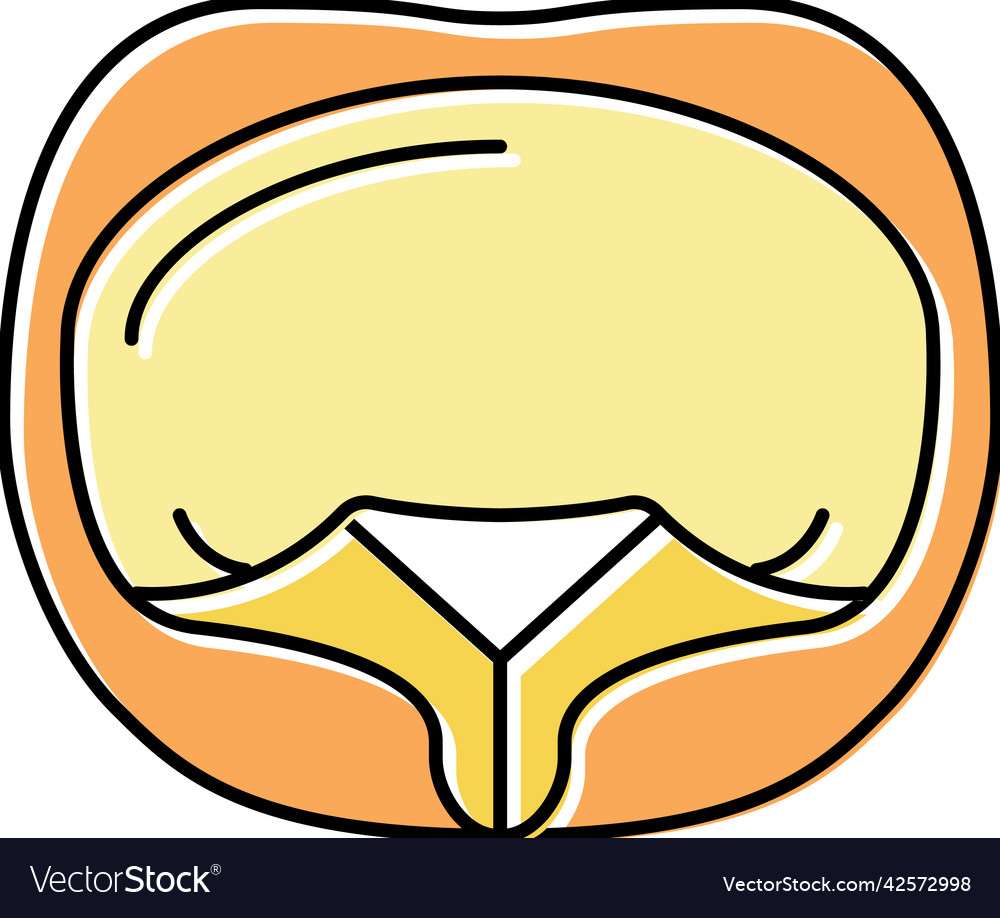 Tortellini pasta color icon