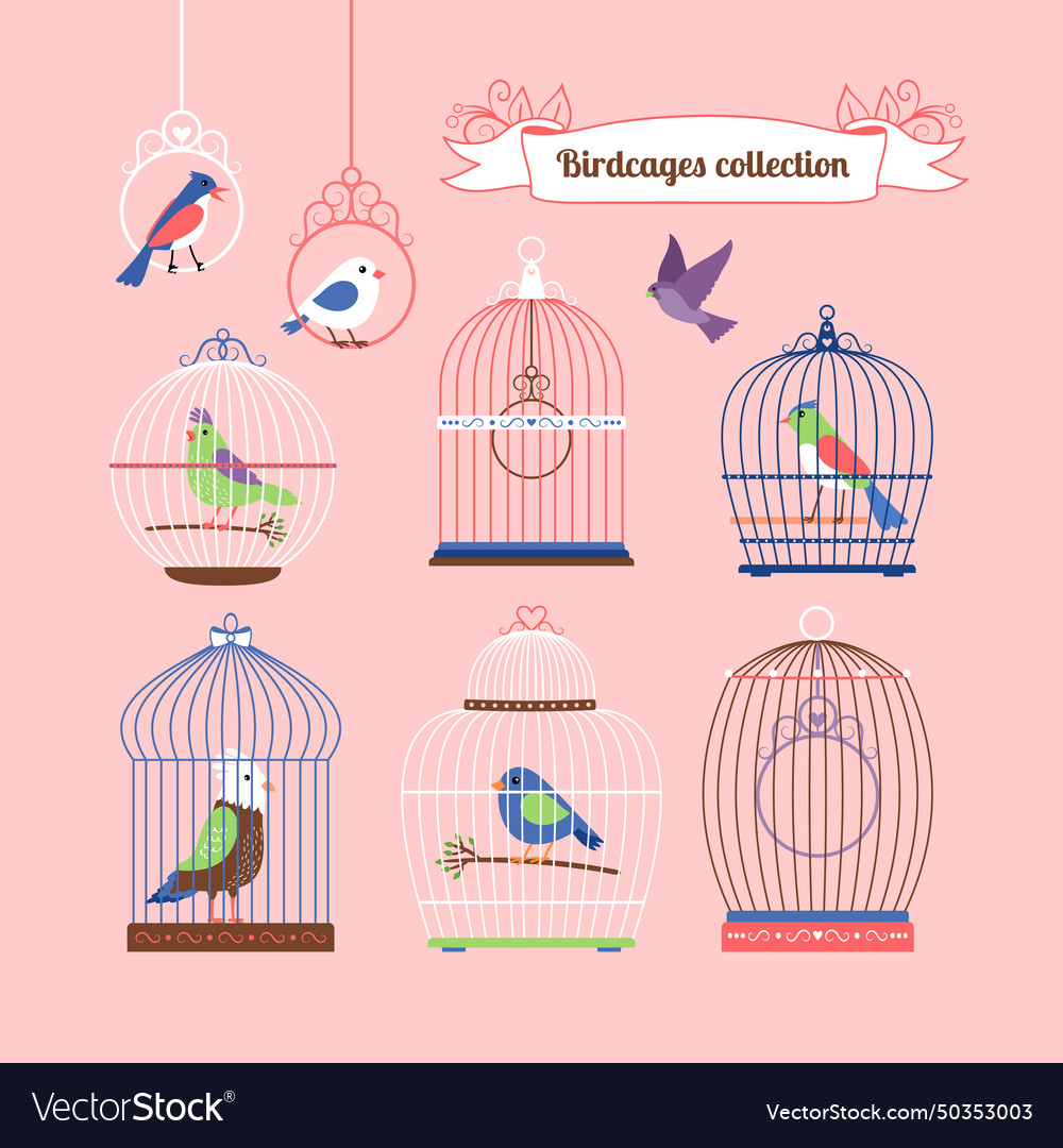 Birds and birdcages Royalty Free Vector Image - VectorStock