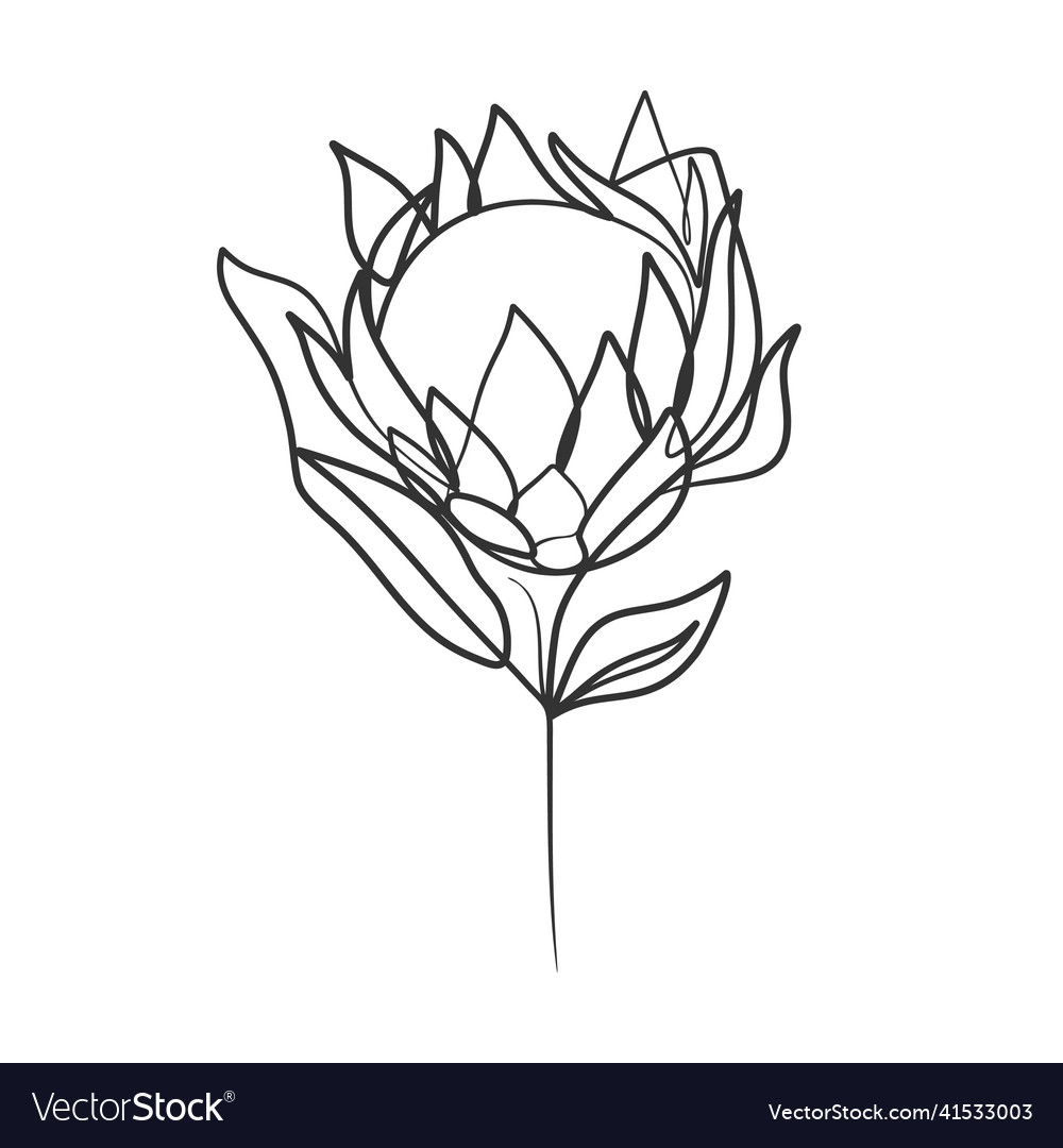 Continuous line drawing of simple flower Vector Image